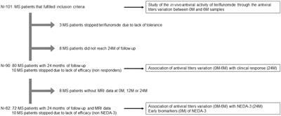 Teriflunomide and Epstein–Barr virus in a Spanish multiple sclerosis cohort: in vivo antiviral activity and clinical response